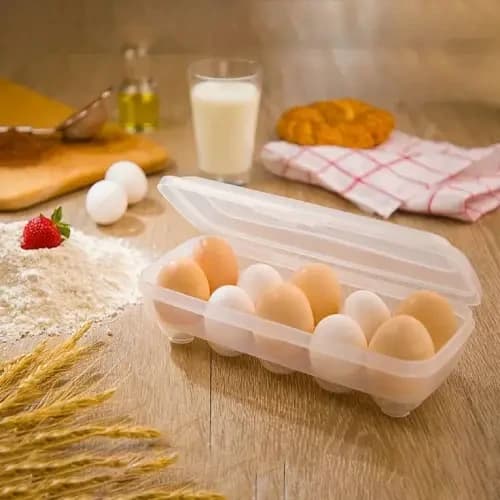 پخش جا تخم مرغ 10 عددی دومانکد E1084 تک و عمده