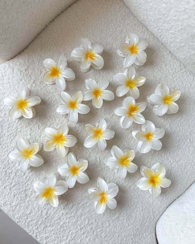 کلیپس پلومریا بابونه